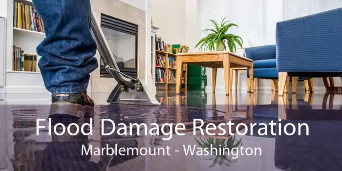 Flood Damage Restoration Marblemount - Washington