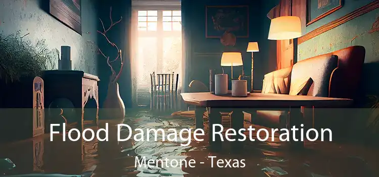 Flood Damage Restoration Mentone - Texas