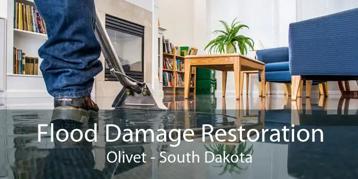 Flood Damage Restoration Olivet - South Dakota
