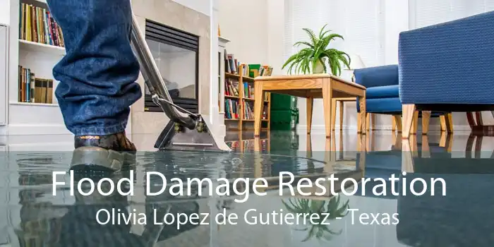Flood Damage Restoration Olivia Lopez de Gutierrez - Texas