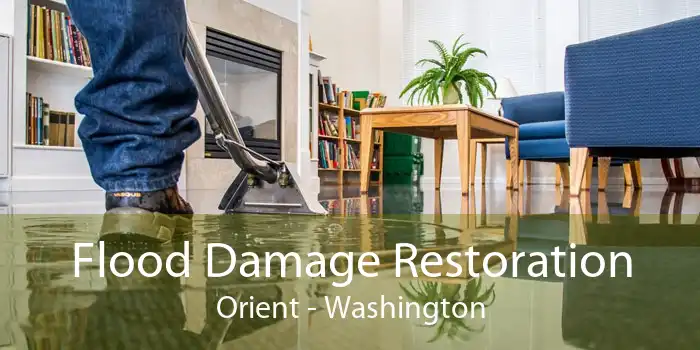 Flood Damage Restoration Orient - Washington