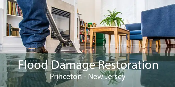 Flood Damage Restoration Princeton - New Jersey