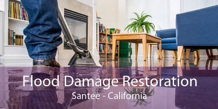 Flood Damage Restoration Santee - California