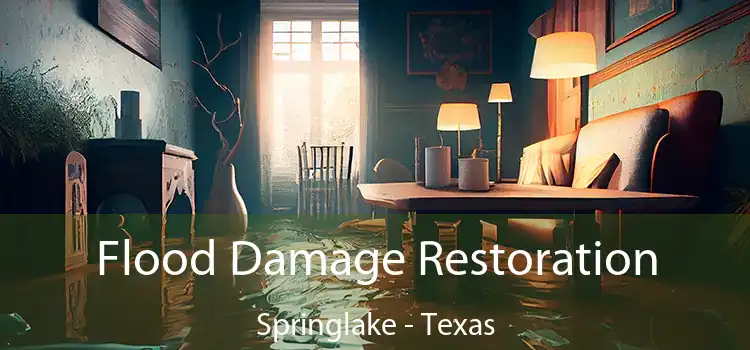 Flood Damage Restoration Springlake - Texas