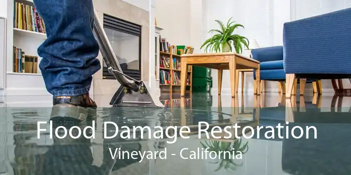Flood Damage Restoration Vineyard - California