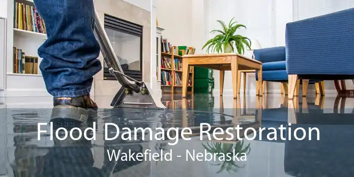 Flood Damage Restoration Wakefield - Nebraska