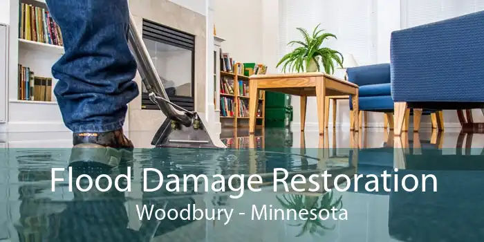 Flood Damage Restoration Woodbury - Minnesota