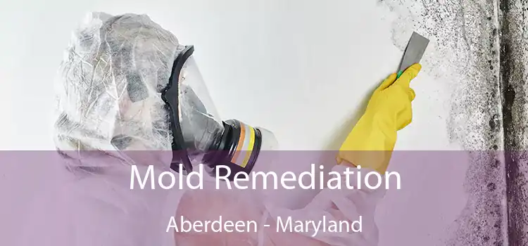 Mold Remediation Aberdeen - Maryland