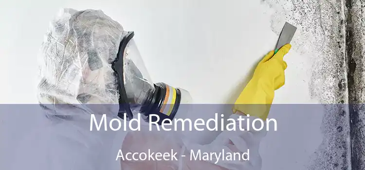 Mold Remediation Accokeek - Maryland