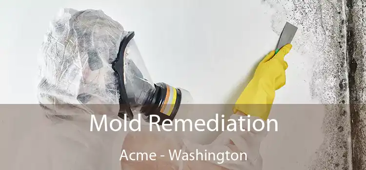 Mold Remediation Acme - Washington