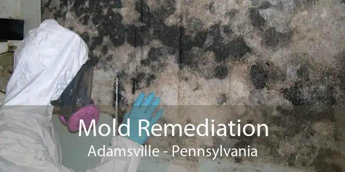 Mold Remediation Adamsville - Pennsylvania