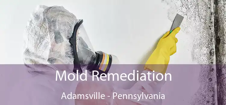 Mold Remediation Adamsville - Pennsylvania