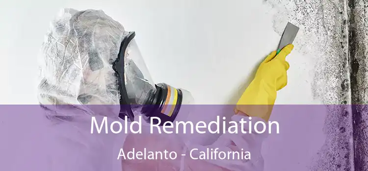 Mold Remediation Adelanto - California