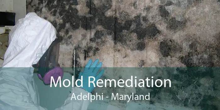 Mold Remediation Adelphi - Maryland