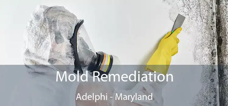 Mold Remediation Adelphi - Maryland