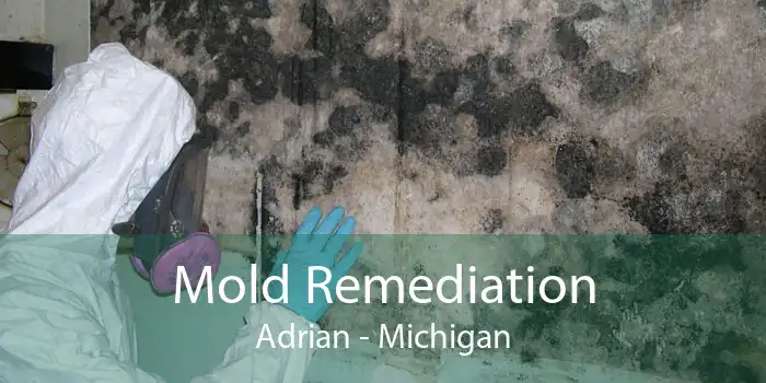 Mold Remediation Adrian - Michigan
