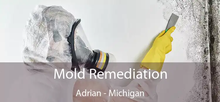 Mold Remediation Adrian - Michigan