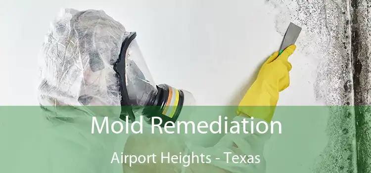 Mold Remediation Airport Heights - Texas