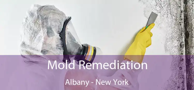 Mold Remediation Albany - New York