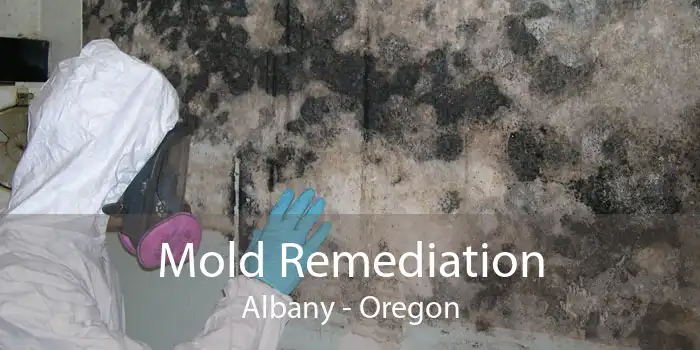 Mold Remediation Albany - Oregon
