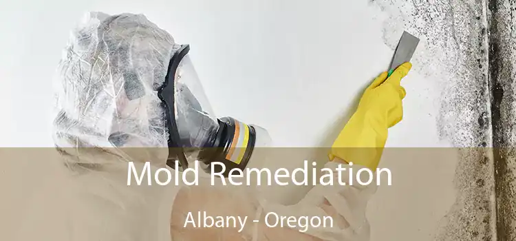 Mold Remediation Albany - Oregon