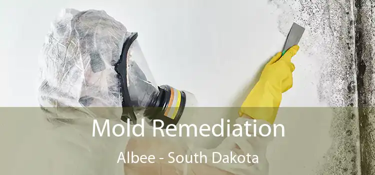 Mold Remediation Albee - South Dakota