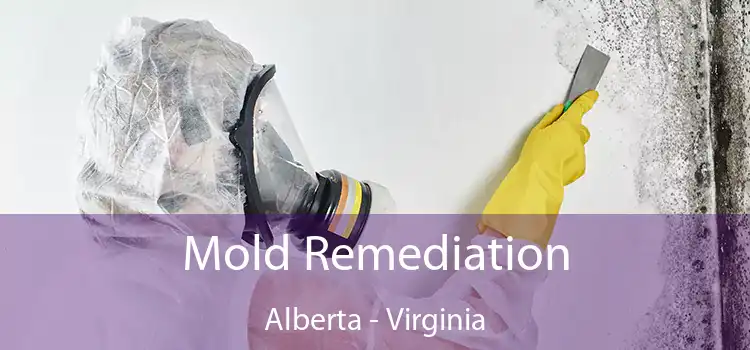 Mold Remediation Alberta - Virginia