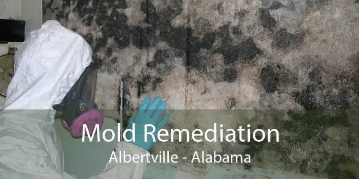 Mold Remediation Albertville - Alabama