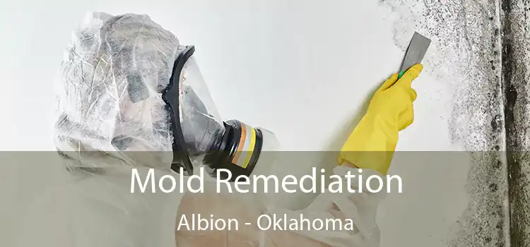 Mold Remediation Albion - Oklahoma