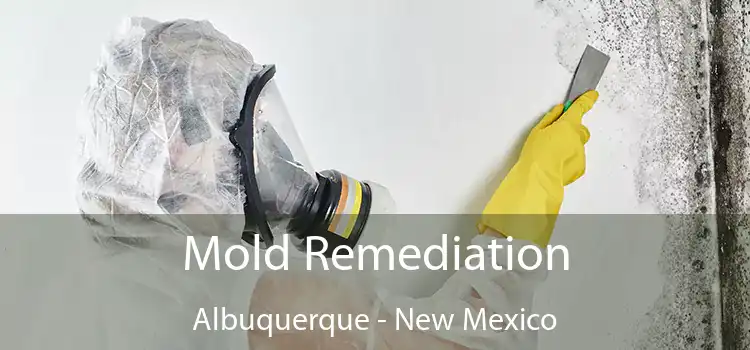 Mold Remediation Albuquerque - New Mexico