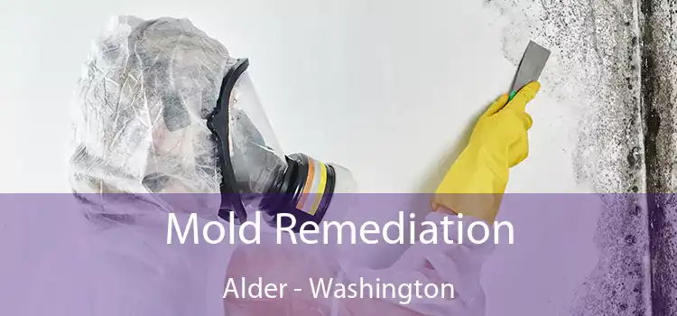 Mold Remediation Alder - Washington