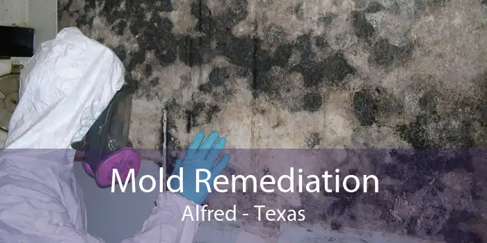 Mold Remediation Alfred - Texas