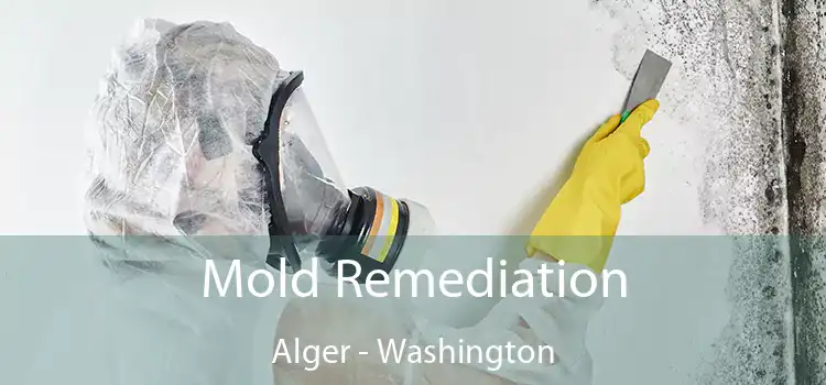 Mold Remediation Alger - Washington