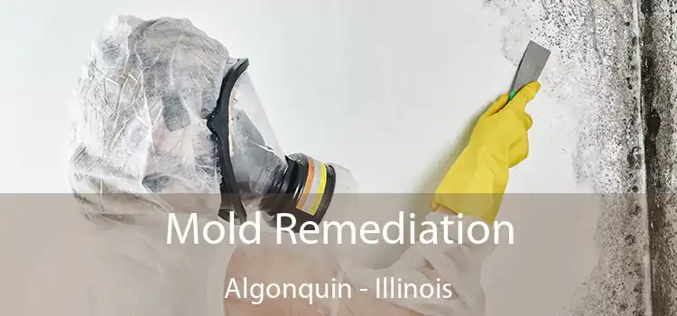 Mold Remediation Algonquin - Illinois