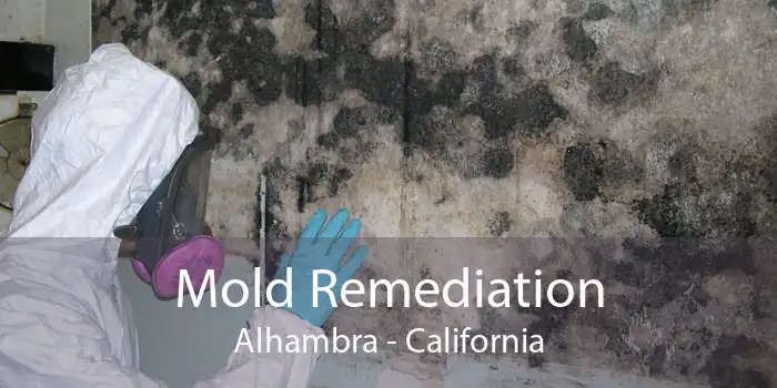 Mold Remediation Alhambra - California