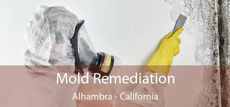 Mold Remediation Alhambra - California