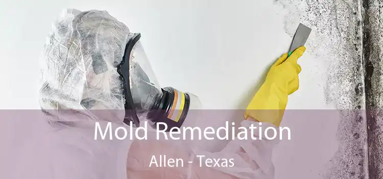 Mold Remediation Allen - Texas