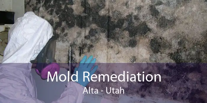 Mold Remediation Alta - Utah