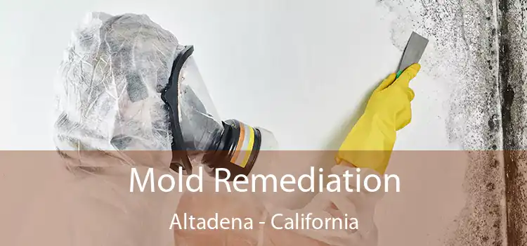 Mold Remediation Altadena - California