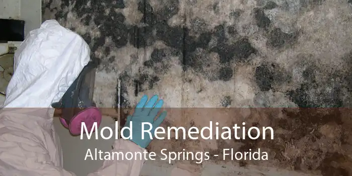 Mold Remediation Altamonte Springs - Florida