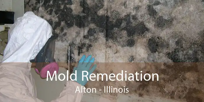 Mold Remediation Alton - Illinois
