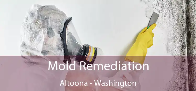 Mold Remediation Altoona - Washington