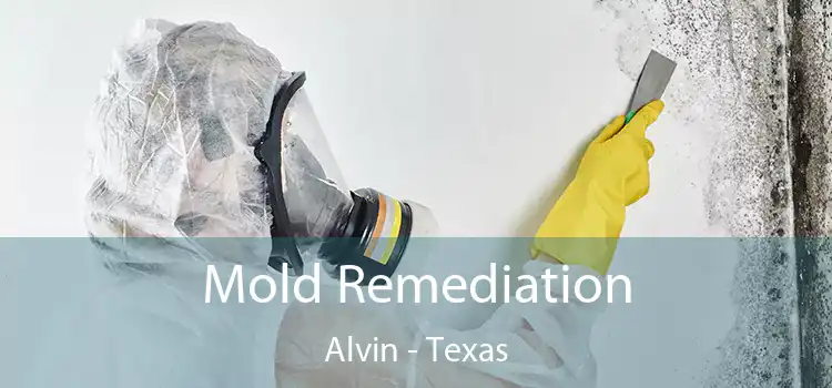 Mold Remediation Alvin - Texas