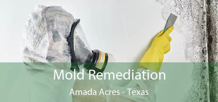 Mold Remediation Amada Acres - Texas