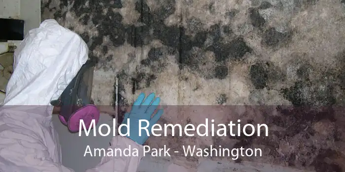 Mold Remediation Amanda Park - Washington