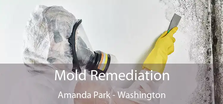 Mold Remediation Amanda Park - Washington