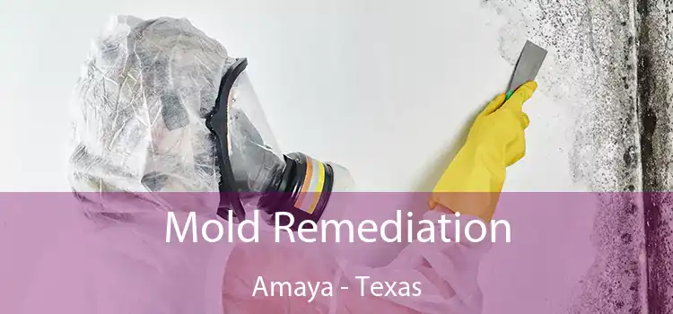 Mold Remediation Amaya - Texas