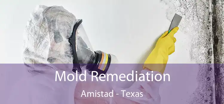 Mold Remediation Amistad - Texas