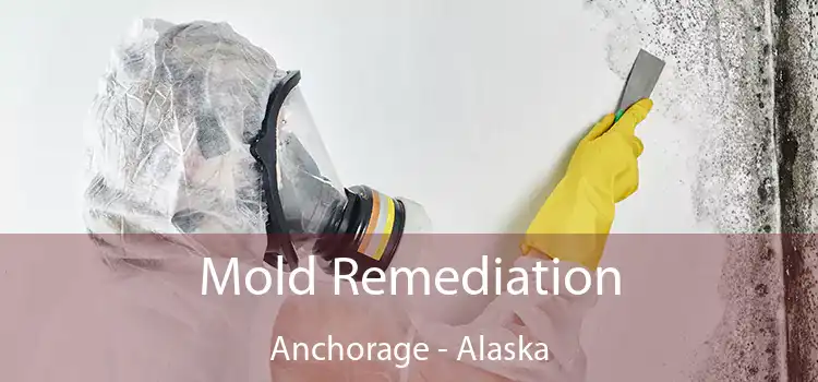 Mold Remediation Anchorage - Alaska