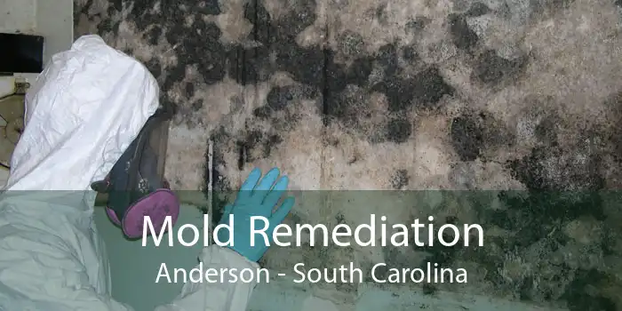 Mold Remediation Anderson - South Carolina